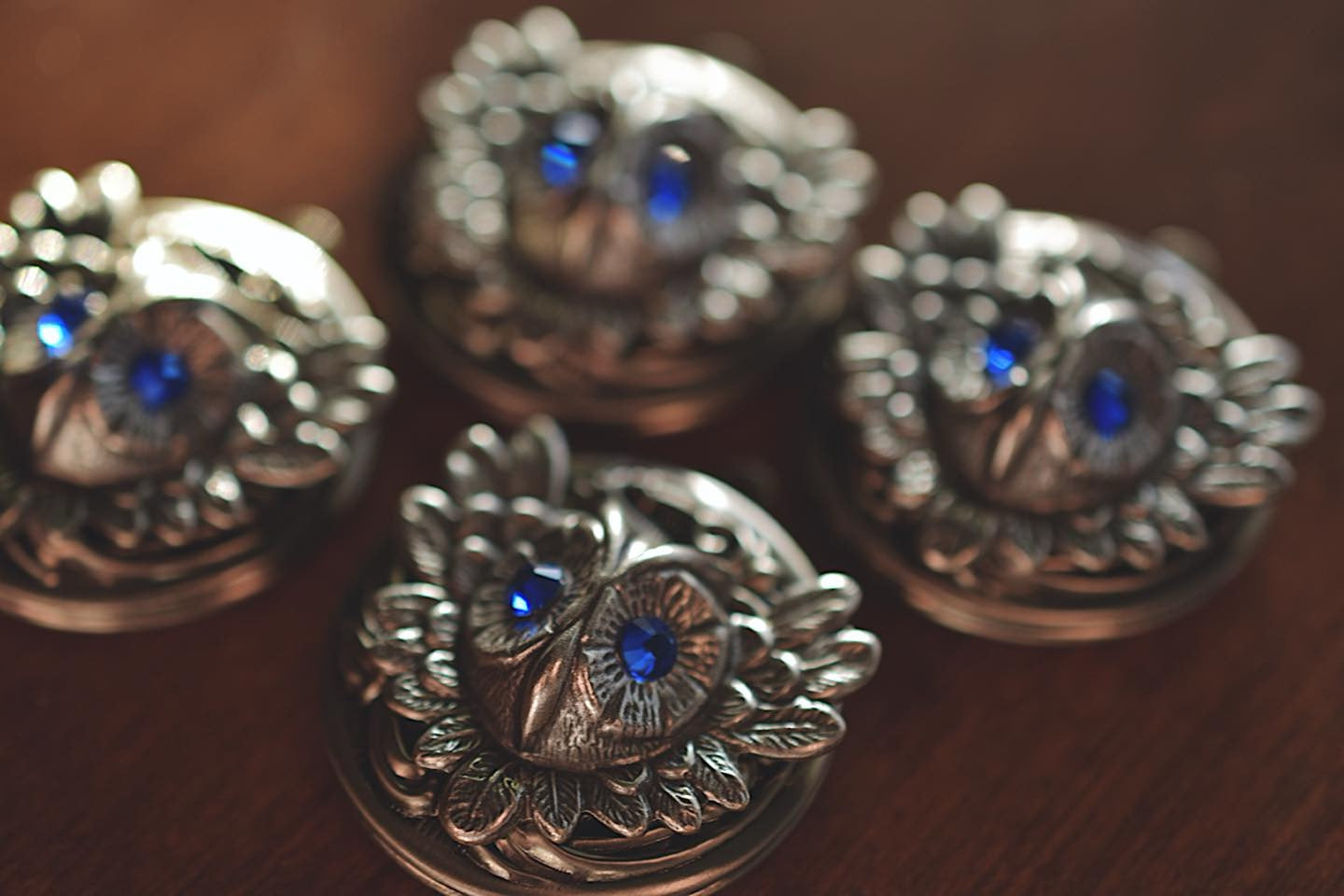 Owl Photo Locket Necklace